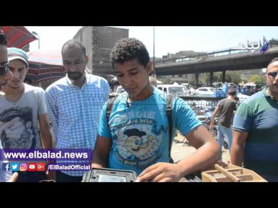 صدى البلد | سوق الجمعة حديقة حيوان برية وسط القاهرة