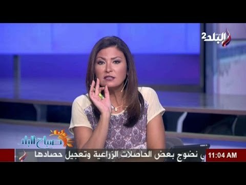 بالفيديو.. دينا رامز تهاجم البرادعي بشدة بسبب مساندته للجماعة الإرهابية | صدى البلد