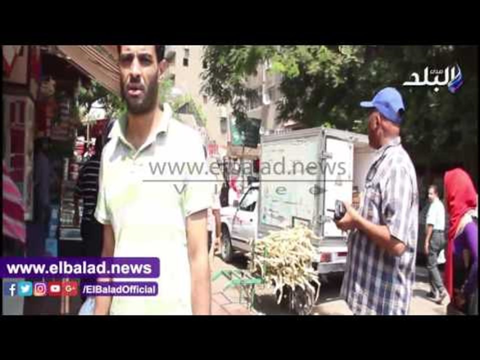 صدى البلد | ازالة مقهى مخالف بشارع التحرير بامبابة