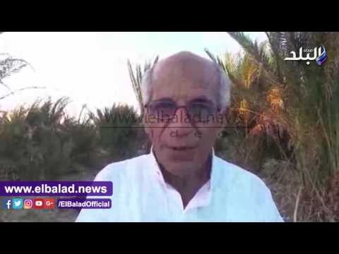 صدى البلد | نقيب الفلاحين :هناك أكثر من مليون فدان صالحة للزراعة بسيناء
