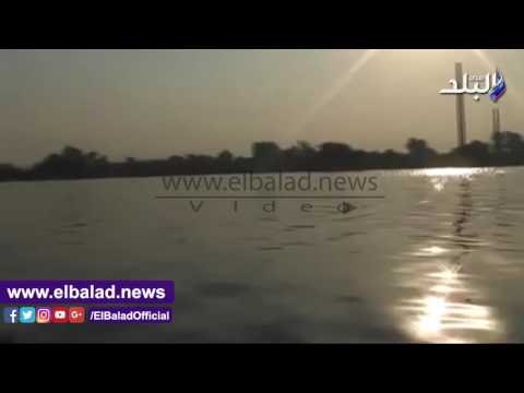 صدى البلد | لحظة نقوق كميات كبيرة من الاسماك بفرع النيل برشيد