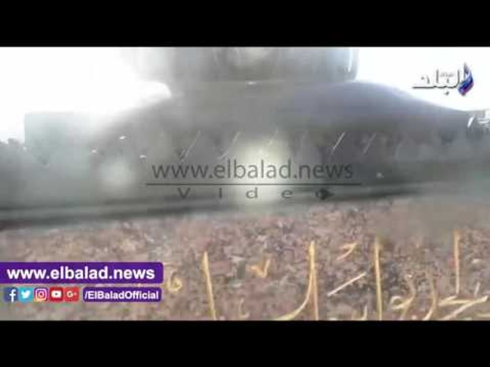 صدى البلد | سياج حديدى لحماية أسود قصر النيل قبل عيد الأضحى..