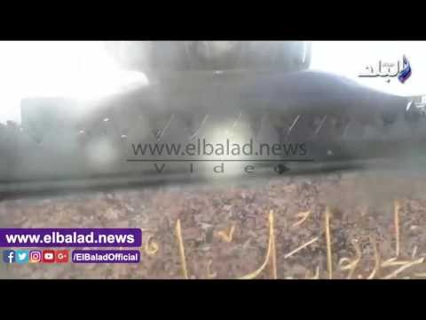 صدى البلد | سياج حديدى لحماية أسود قصر النيل قبل عيد الأضحى..