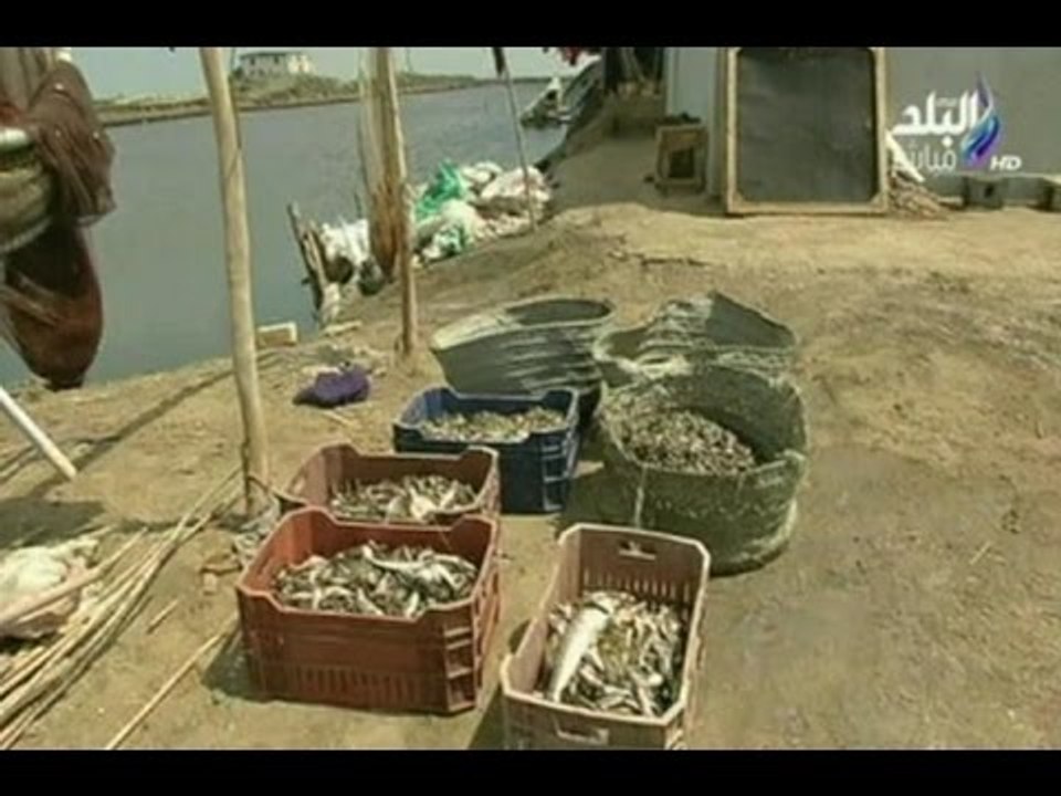 صدى البلد تعرض معاناة الصيادين ببحيرة المنزلة بدمياط