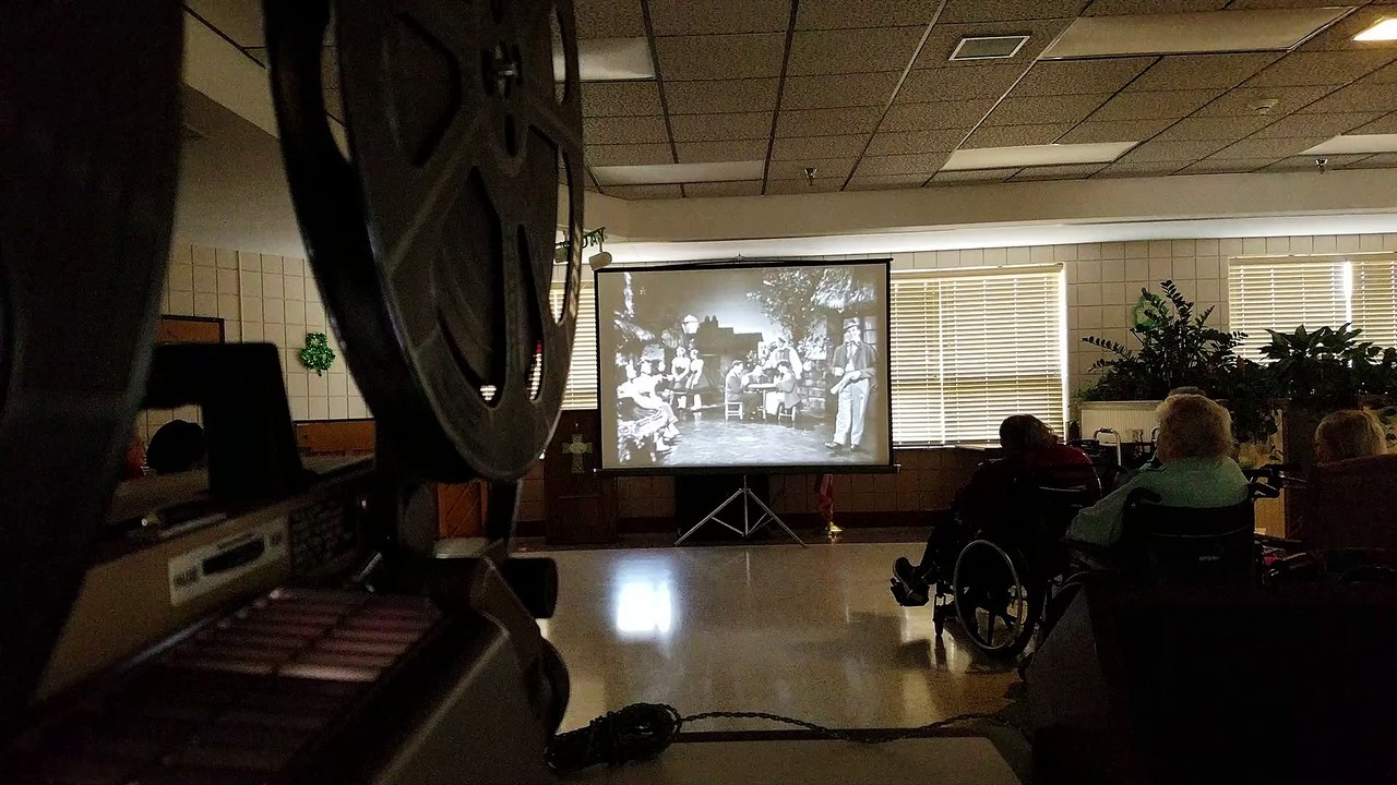 Shamrocks, Shelalis and Shenanigans