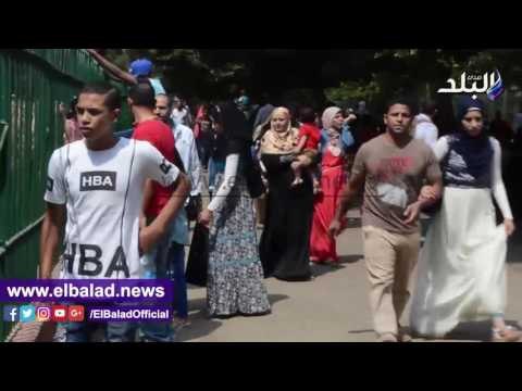 صدى البلد |إقبال كبير على حديقة الحيوان فى ثانى أيام العيد