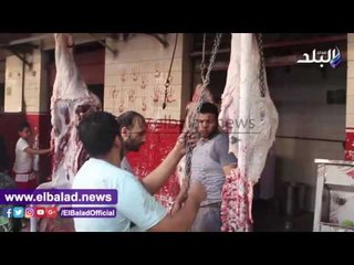 صدى البلد |ذبح العجول بمنطقة الوراق