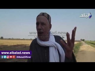 صدى البلد | فلاحو الدقهلية يطالبون بمكابس لقش الارز للتوقف عن حرقه