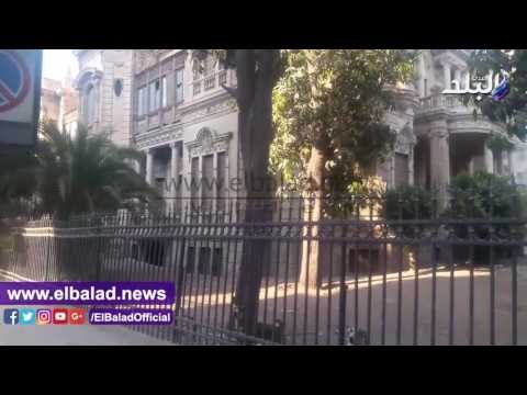 صدى البلد | قصر ألكسان باسيوط يتحول الى مأوى للكلاب الضالة