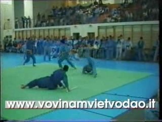 Vovinam History - 1995 European Championship Geneve