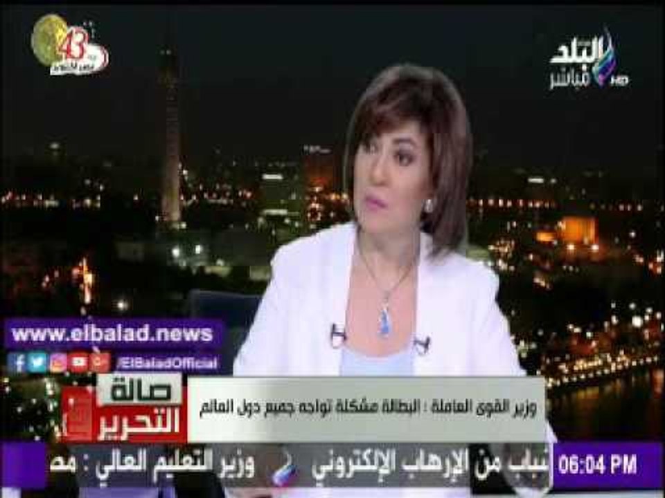 صدى البلد |وزير القوى العاملة :مشكلة البطالة عالمية