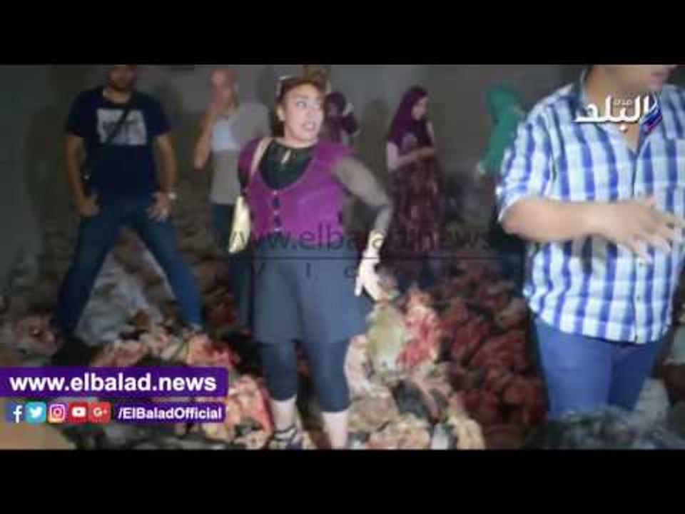 صدى البلد | لحظة إعدام لحوم فاسدة بشبرامنت