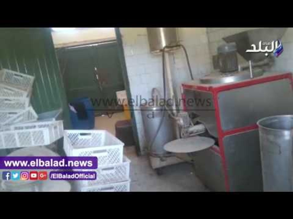 صدى البلد | "صدى البلد" يكشف.. تعطل معصرة الزيتون فى "طور سيناء"