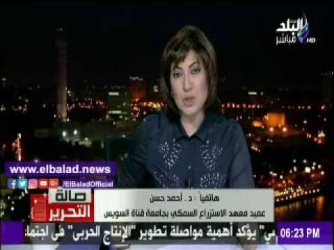 صدى البلد |بدء أول انتاج من الأسماك بشرق قناة السويس .. أول نوفمبر