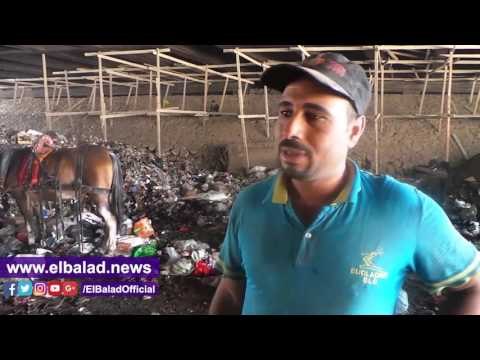 صدى البلد | دائرى بشتيل أيل للسقوط ..والمسئولين يبدأون فى الإصلاحات