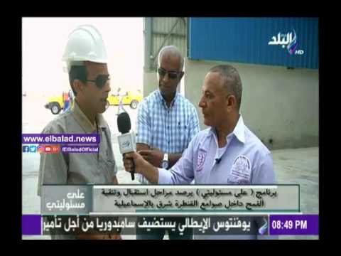 صدى البلد |مدير مشروع صوامع القنطرة شرق يكشف عن تفاصيل تخزين القمح