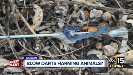 Gilbert residents alarmed after blow darts found at Riparian Preserve