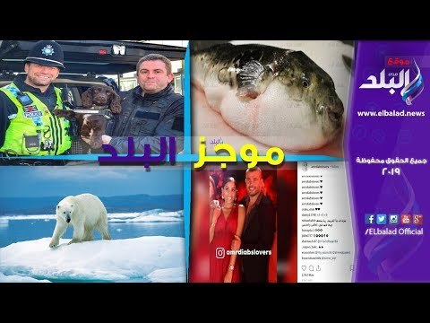 صدى البلد | موجز البلد.. قمة مصرية فرنسية في القاهرة.. ولقطة لدينا الشربيني تؤكد حملها