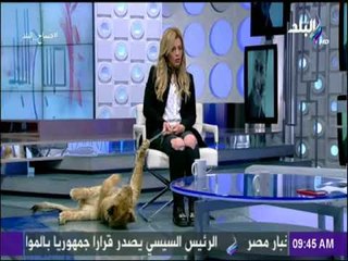 صباح البلد - مدربة الأسود دهب الحلو تتحدث عن مغامرتها مع الأسود