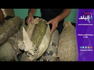 صدى البلد | ضبط شخصين في الإسماعيلية بحوزتهما 200 كيلو بانجو.