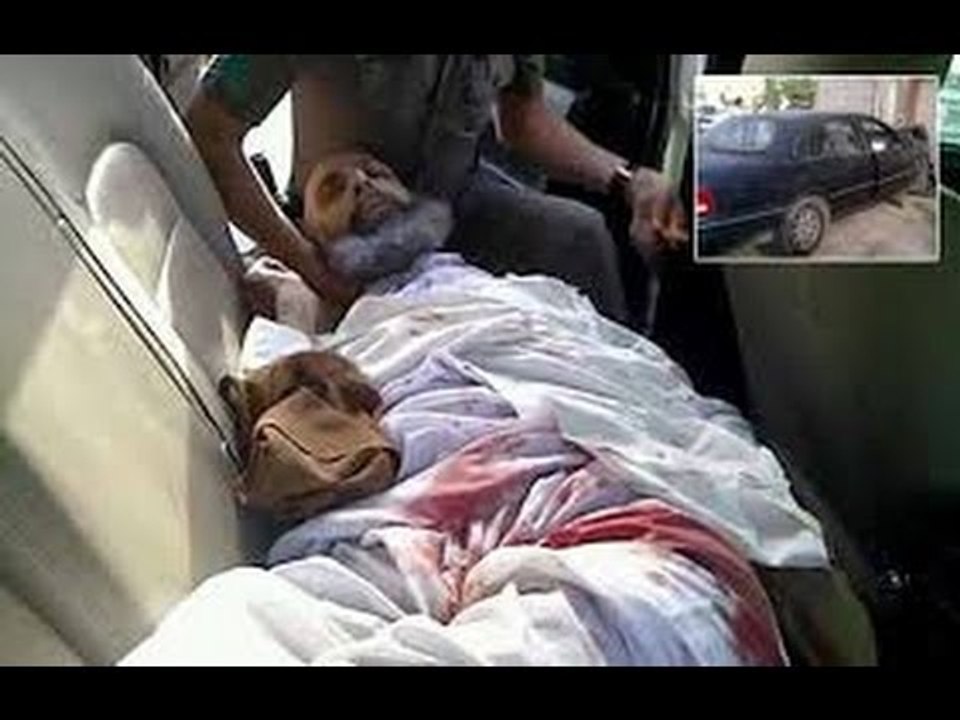 صدى البلد | شاهد التهم التي تسببت في إعدام النم...