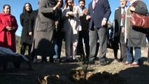 Amber Türkmen 8 Mart Dünya Kadınlar Günü'nde kadınlarla birlikte 100 tane çam ağacı dikti