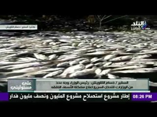 تعرف على الاجراءات التى اتخذتها الحكومة لحل أزمة الاسماك النافقة فى مياة النيل