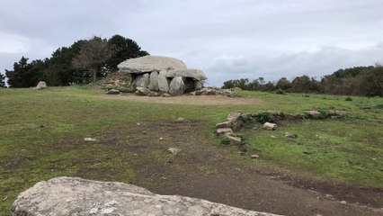 Île-aux-Moines   | Le Dolmen de Penhap  |   TV Golfe
