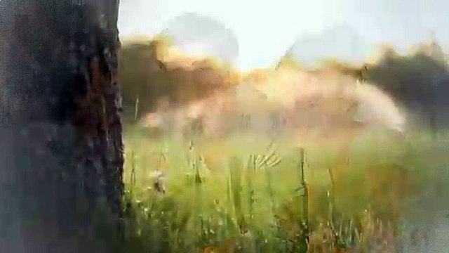 A vendre - Appartement - Bulle (1630) - 2.5 pièces - 52m²