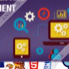 Best web designing training institute in noida