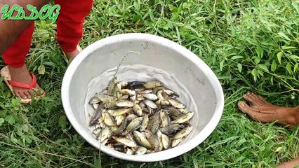 Amazing Cast Net Fishing In The Village Canal Bridge Of Bangladesh HD