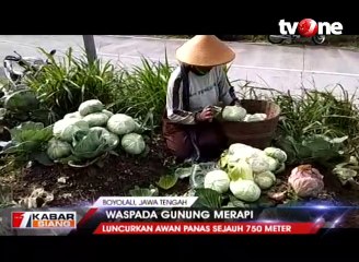 Gunung Merapi Luncurkan Awan Panas Sejauh 750 Meter!