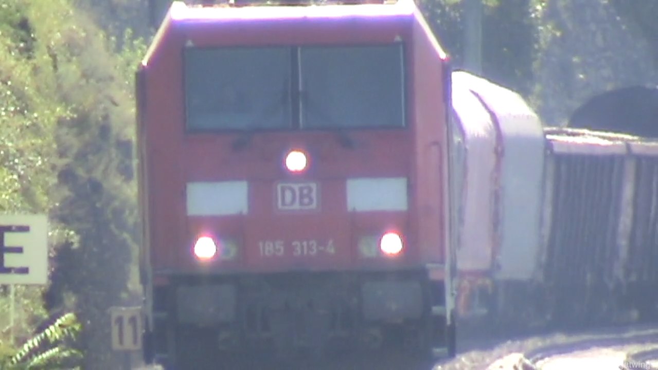 Züge am Rhein bei Lorch, MRCE 189, 3x DBAG 185, vlexx Coradia LINT 54, VIAS Stadler Flirt BR427