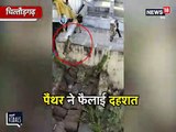 VIDEO: तेंदुए ने गांव में फैलाई दहशत, रेस्क्यू देखने जुटी लोगों की भीड़