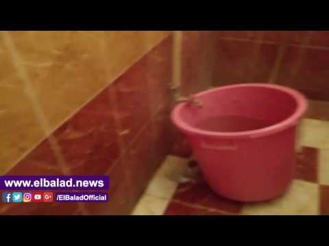 صدى البلد | الإهمال يضرب مستشفيات بني سويف.. القطط ومناشر الغسيل تغزو مستشفى الحميات