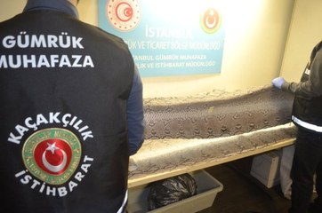 Atatürk Havalimanı'nda "Yılan Derisi" Operasyonu