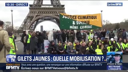 Quelques gilets jaunes réalisent un sit-in devant la Tour Eiffel ce matin