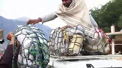 아산출장안마 -신용100%ョØ7Øg7575dØØ69{문의톡CK654}아산전지역출장마사지샵'아산출장wo안마gy아산출장마사지황형ぷへべ미인아가씨모텔출장