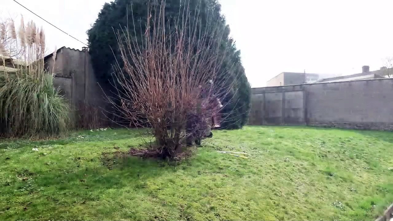 timelapse taille noisetier