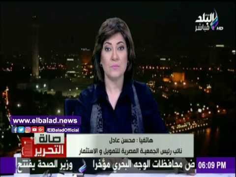 صدى البلد | محسن عادل: الدولار سيتراجع إلى 15 جنيها في أول 2017.. فيديو