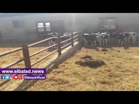 صدى البلد | الرقابة الإدارية تكشف إهمال مسئولين في إداراة مشروعات بسوهاج