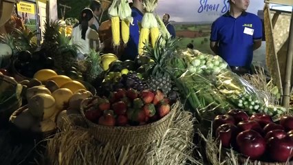 Metro  Wholsale Myanmar တရား၀င္စတင္မိတ္ဆက္