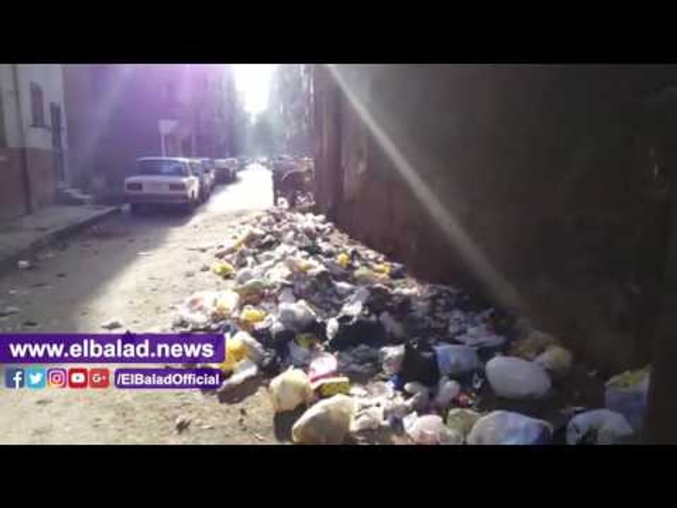 صدى البلد |  شوارع أسيوط تتحول الى مقالب قمامة..والكلاب الضالة والزواحف تطارد المواطنين