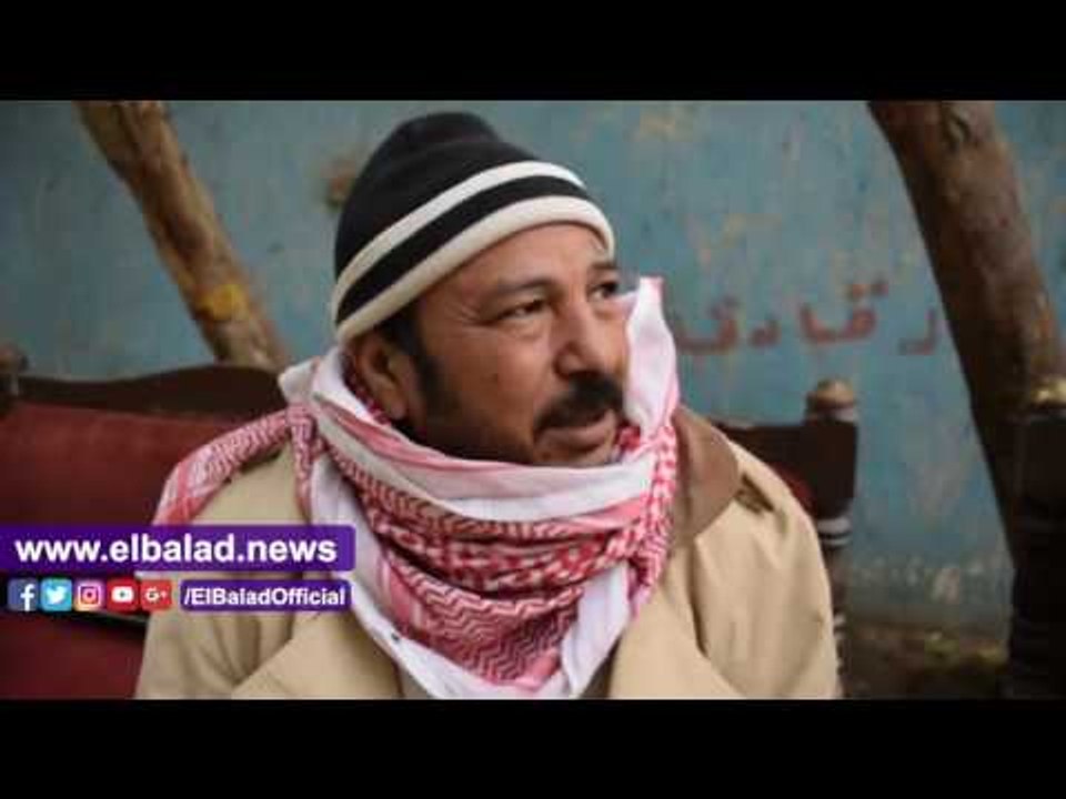 صدى البلد |  اصحاب اسطبلات نزلة السمان: الركوبة موحدة ب100 جنيه.. ونفسنا السياحة ترجع زي زمان