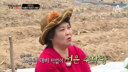 김천출장안마 -신용100%ョØ1Øa2671s8135{문의톡KC456}김천전지역출장마사지샵'김천출장wo안마gy김천출장마사지황형ЭЮЯ섹시한와꾸섹시한관리사