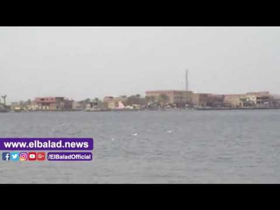 صدى البلد | صيادو الفيوم: بحيرة قارون تغزوها ال...