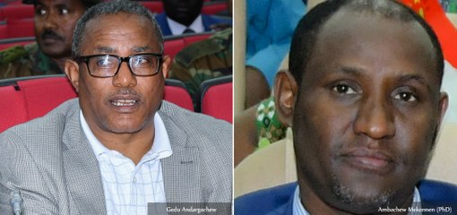 Amhara Democratic Party Appoints New President as Gedu Resignes.