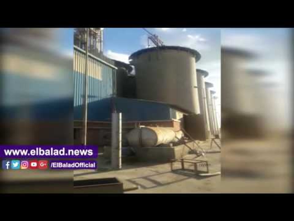 صدى البلد | ضبط أمين شونة بالبحيرة استولي على 3684.6 طن قمح