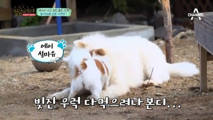 남원출장안마 -신용100%ョØ7Øc7575dØØ69【문의톡CK654】남원전지역출장마사지샵'남원출장wo안마gy남원출장마사지황형ザシジ출장안마후기호텔콜걸