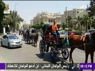 زفة بـ ( الحناطير) والأغاني الوطنية تجوب شوارع القاهرة للإحتفال بذكرى تحرير سيناء